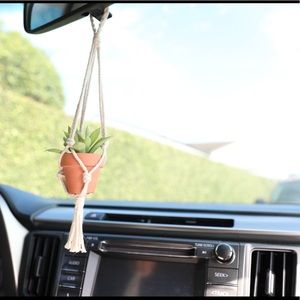 car succulent hanging decor